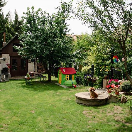 Podkrovni Apartman S Vyhledem Na Namesti Lomnice nad Lužnicí 외부 사진